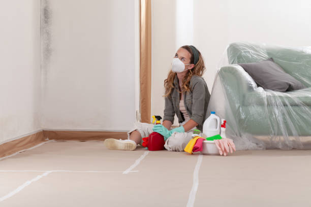 Reliable Mold Removal contractor in Grantsville, MD by WQB Mold Removal